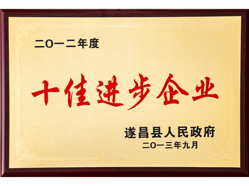 2012年度十佳進(jìn)步企業(yè)